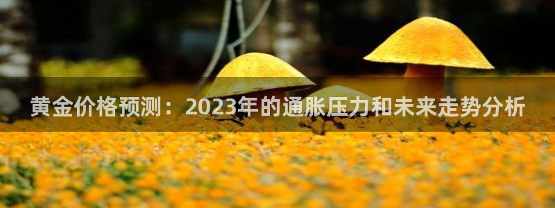 壹号app下载链接：黄金价格预测：2023年的通胀压力和未来走势分析