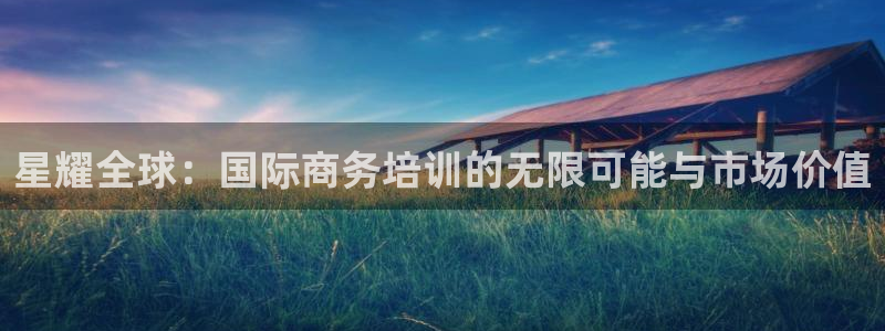 壹号电子娱乐app下载最新版本安装：星耀全球：国际商务培训的无限可能与市场价值