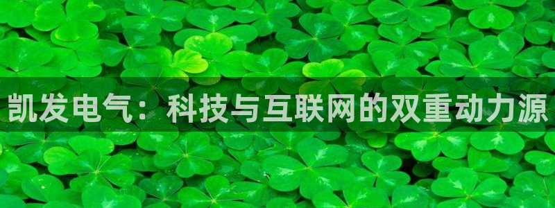 天顺娱乐app下载地址：凯发电气：科技与互联网的双重动力源