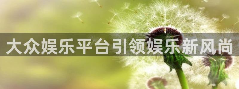 壹号大舞台官网：大众娱乐平台引领娱乐新风尚