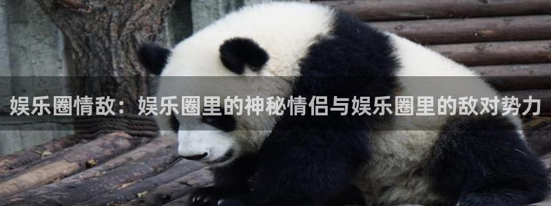壹号top娱乐：娱乐圈情敌：娱乐圈里的神秘情侣与娱乐圈里的敌对势力