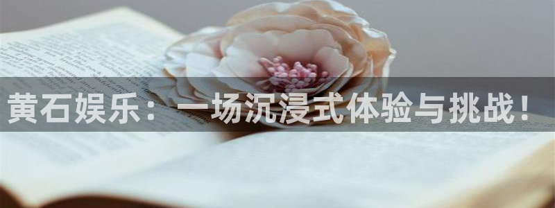 壹号app下载官方网站：黄石娱乐：一场沉浸式体验与挑战！