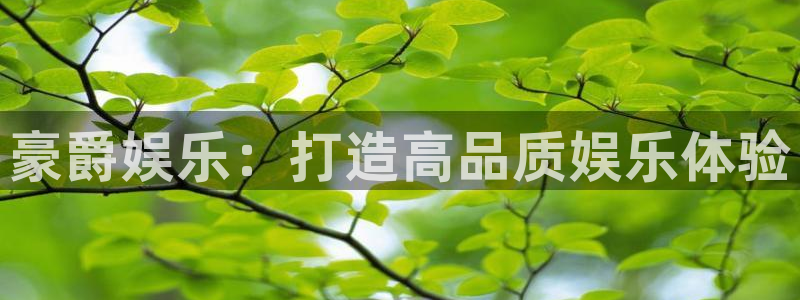 天顺娱乐官方app下载安装：豪爵娱乐：打造高品质娱乐体验