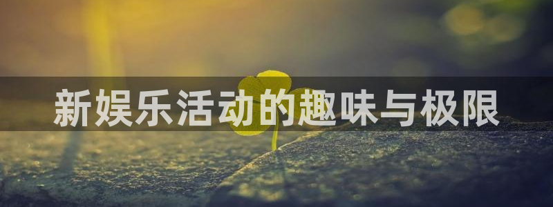 天顺娱乐：新娱乐活动的趣味与极限