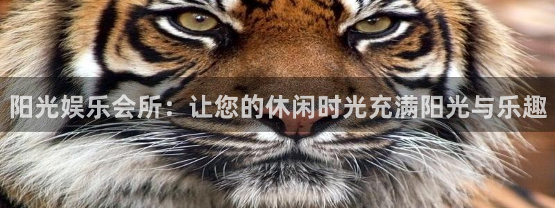壹号app下载：阳光娱乐会所：让您的休闲时光充满阳光与乐趣