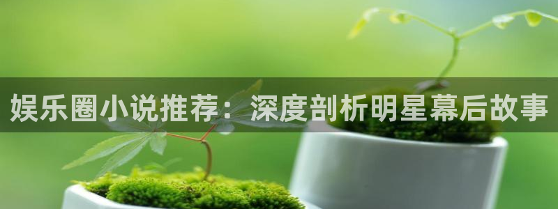 天顺娱乐app官网下载：娱乐圈小说推荐：深度剖析明星幕后故事