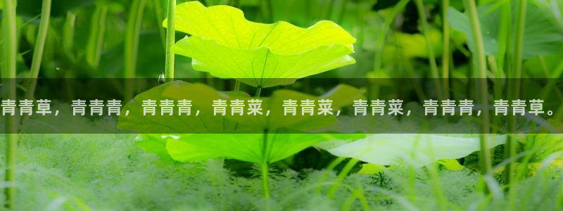 天顺娱乐平台app下载：青青草，青青青，青青青，青青菜，青青菜，青青菜，青青青，青青草。