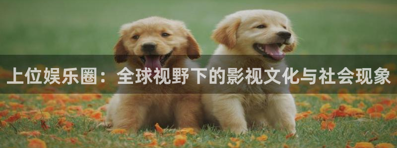 天顺娱乐网站：上位娱乐圈：全球视野下的影视文化与社会现象