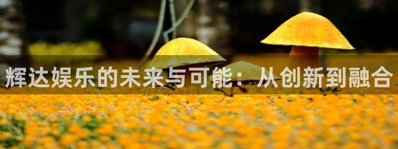 壹号电子娱乐app下载最新版本：辉达娱乐的未来与可能：从创新到融合