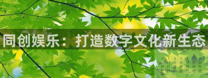 壹号平台娱乐：同创娱乐：打造数字文化新生态