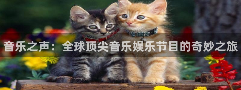 壹号top娱乐：音乐之声：全球顶尖音乐娱乐节目的奇妙之旅